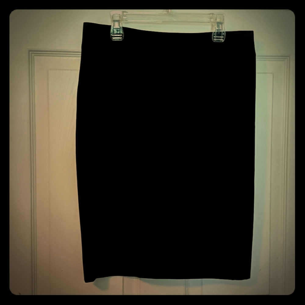 J. Crew Skirt